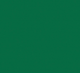 Спортивное покрытие Tarkett OMNISPORTS R35 FIELD GREEN