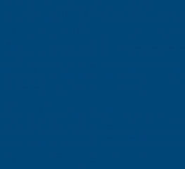 Спортивное покрытие Tarkett OMNISPORTS R65 ROYAL BLUE